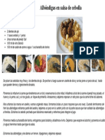 Albóndigas en salsa de cebolla.pdf