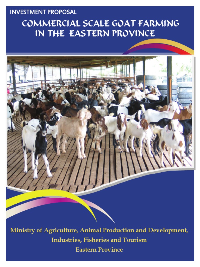Commercial Scale Goat Farming In The Eastern Province Investment