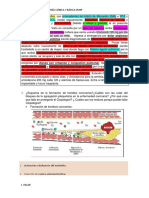 Práctica 3 Farmaco Icc y Ecoc