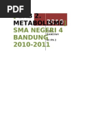Download Biologi -Metabolisme- by Citra Riansyah SN42298393 doc pdf