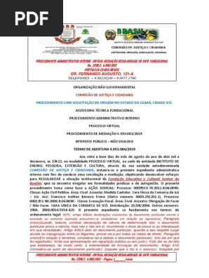 Termo de Abertura Procedimento Administrativo Interno