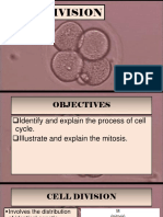 Cell Division: The Process of Mitosis