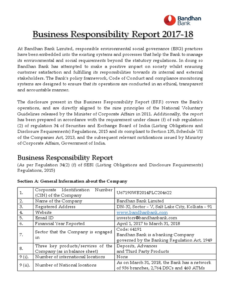 Business Responsibility Report PDF Corporate Social Responsibility
