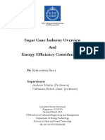 Sugarcane industry overview and energy efficiency considerations.pdf