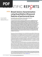 Breast-Lesions Characterization Using Quantitative Ultrasound Features of Peritumoral Tissue