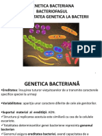 Curs 3 Microbi