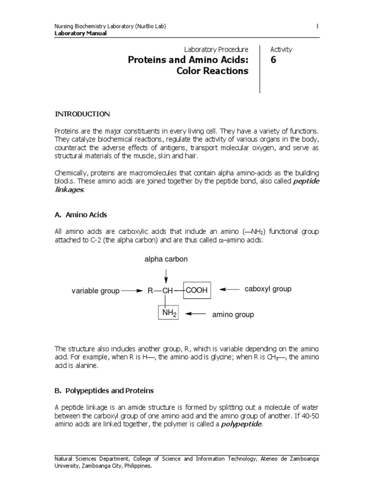 6 Activity Proteins Color Reactions | PDF | Proteins | Amino Acid