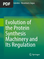 Evolution of The Protein Synthesis Machinery