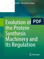 Evolution of The Protein Synthesis Machinery