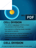 Cell Division: The Basic Process of Life
