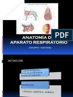 Anatomia de aparato respiratorio.pdf