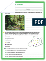 Actividad Ecosistema para Explicar