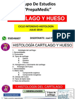CARTILAGO Y HUESO.pdf