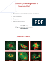 2_Gametogenesis.pdf