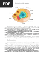 Tesuturile Si Celula Animala
