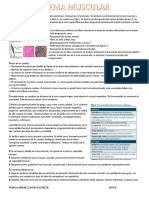 Sistema Muscular Geriatria