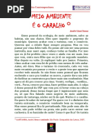 meio ambiente é o caralho