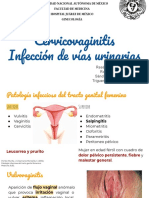 Cervicovaginitis Infección de Vías Urinarias