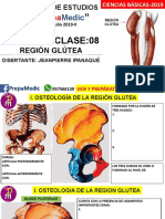 Anatomia Dia 08 Ipana