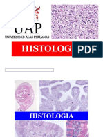 histologia.pptx