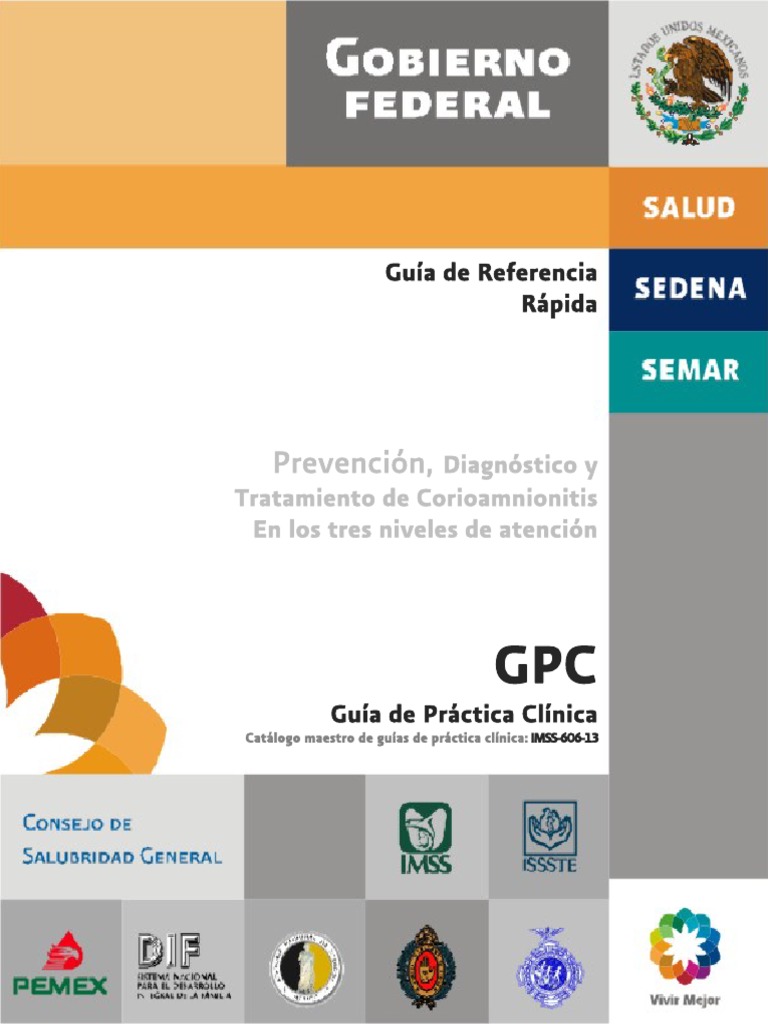 Guía de Corioamnionitis: Prevención y Tratamiento | PDF | El embarazo ...