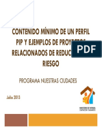 CONTENIDO MÍNIMO DE UN PERFIL.pdf