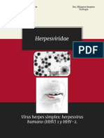 herpesvirus 2.2.0.pptx