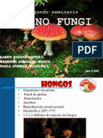 HONGOS