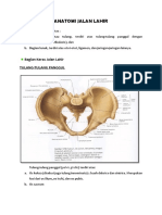 220511447-Anatomi-Jalan-Lahir.docx