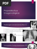 Propedêutica Imagenológica Do Sistema Genital Feminino 2