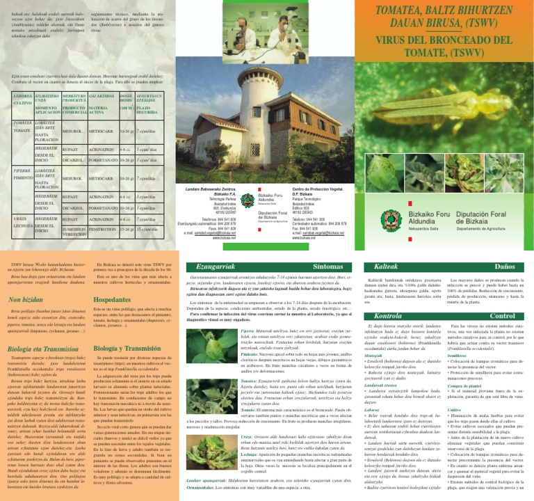 Virus Del Bronceado Del Tomate PDF Organismos Horticultura y