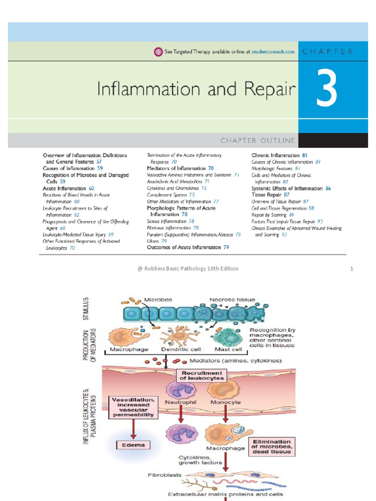 1 at Robbins Basic Pathology 10th Edition | PDF