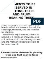 Elements To Be Observed in Planting Trees