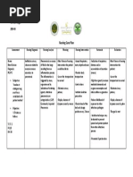 Nursing Care Plan - PCAP