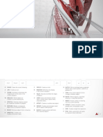 AutoCAD Shortcuts Guide Autodesk