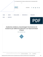 Anatomía Cerebral y Neuroimagen Funcional TDAH