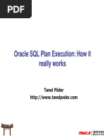 Oracle SQL Plan Execution