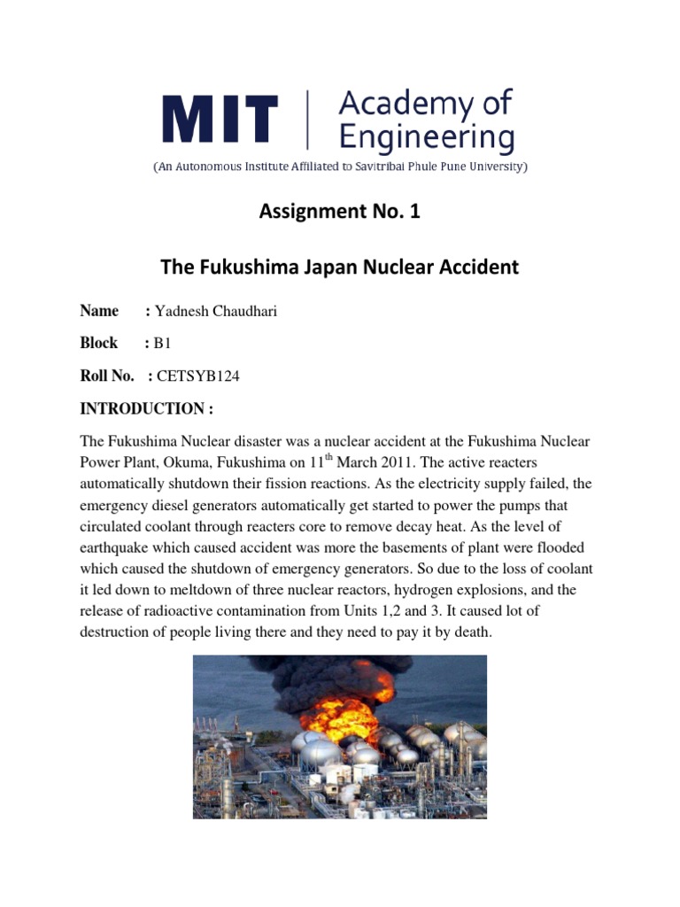 Fukushima Disaster: Causes and Consequences | PDF | Fukushima Daiichi ...