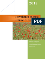 1 Raport - dezvoltarea energiei eoliene in Dobrogea.pdf