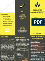 Group Lithosphere: Disaster Management
