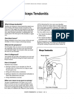 bicep tendonitis.pdf