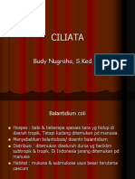 CILIATA