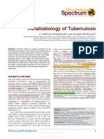 Mycobacterium tuberculosis metalobiología