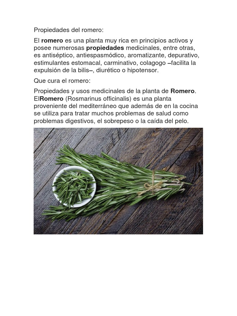 Propiedades Del Romerillo | Romerillo. Origen, Descripción, Variedades ...