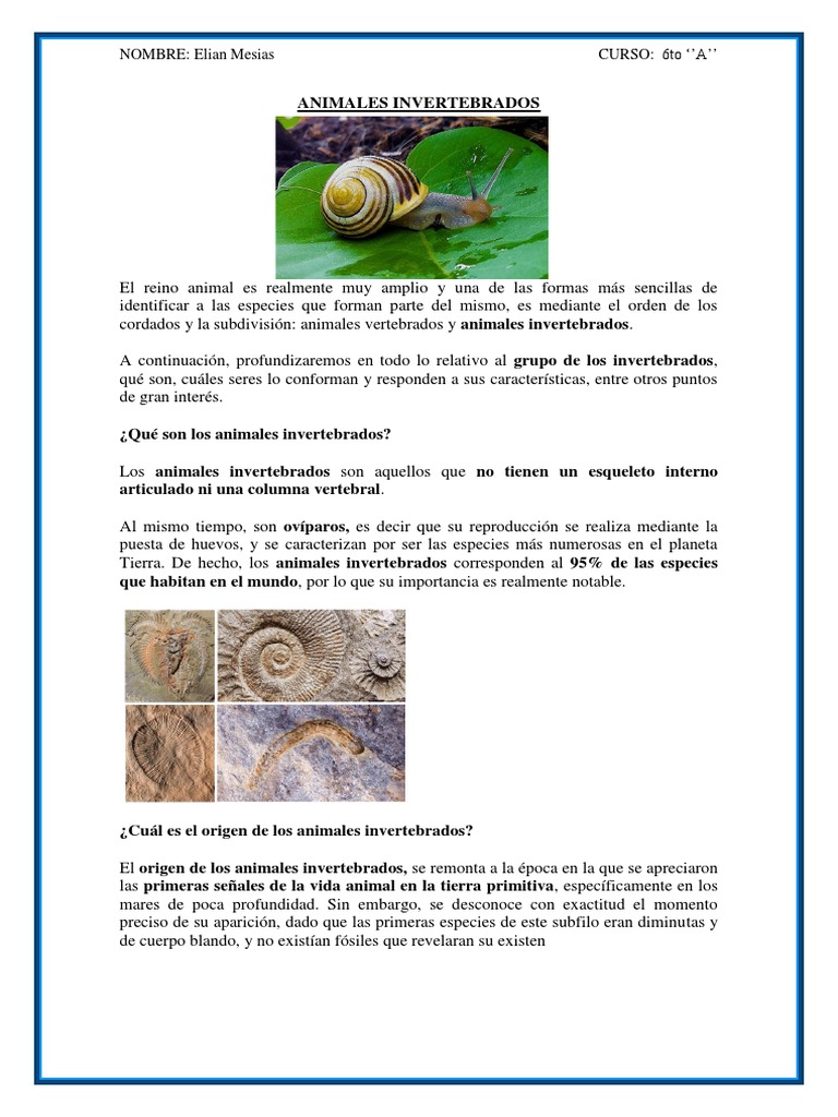 Capitulo 2: ¿Cómo se forma un arrecife? - Issuu, image size:768x1024