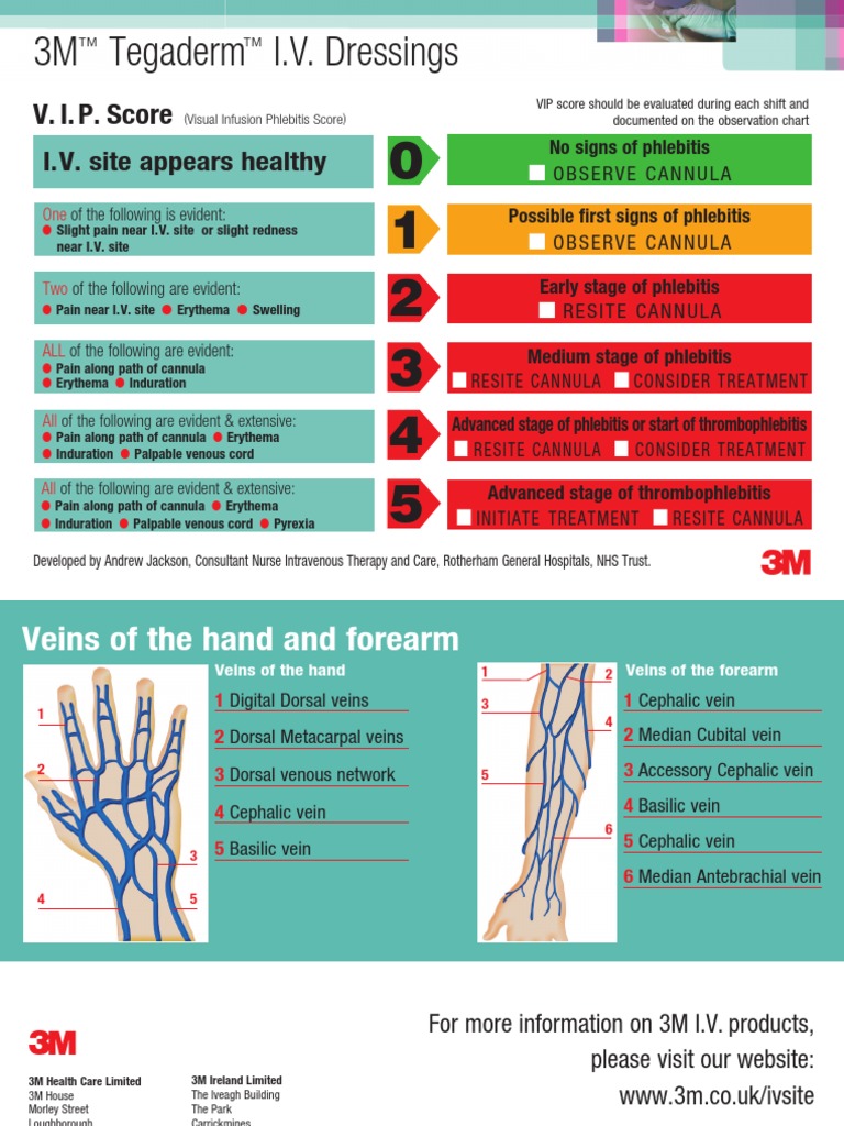 Visual Infusion Phlebitis Scale Vip Italiano