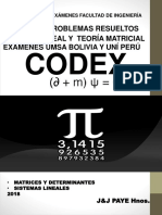 Codex Primer Parcial Lineal PDF
