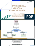 Derivados de La Vía de La Cicloxigenasa