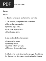 Prueba de Ciencias Naturales 3° Las Plantas