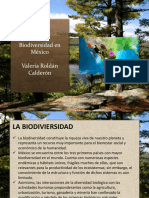 Biodiversidad MX